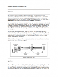 Common Gateway Interface