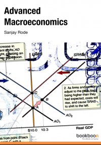 Advanced Microeconomics