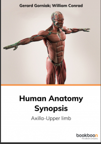 Human Anatomy Synopsis