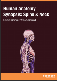 Human Anatomy Synopsis: spine and neck