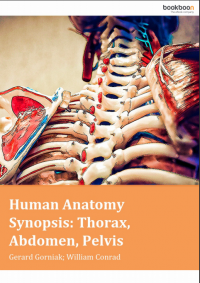 Human Anatomy Synopsis: throax, abdomen, pelvis