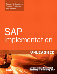 SAP Implementation