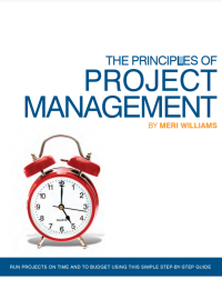 The Principles of Project Management