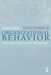 Organizational Behavior: Securing Competitive Advantage