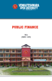 Public Finance